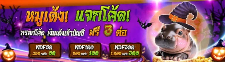 Promotion-Heng9999-3