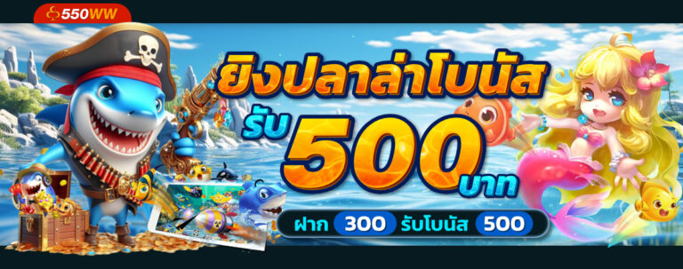 promotion-550ww-2
