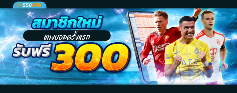 promotion-550ww-3